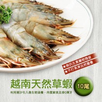 【築地一番鮮】越南天然大草蝦(10尾裝/盒)