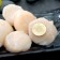 【築地一番鮮】北海道原裝刺身專用特大L生食干貝(1kg/約21~25顆/盒)