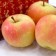 【築地一番鮮】日本青森代表作TOKI水蜜桃蘋果禮盒1盒(10-12顆/2.5kg/盒) 免運